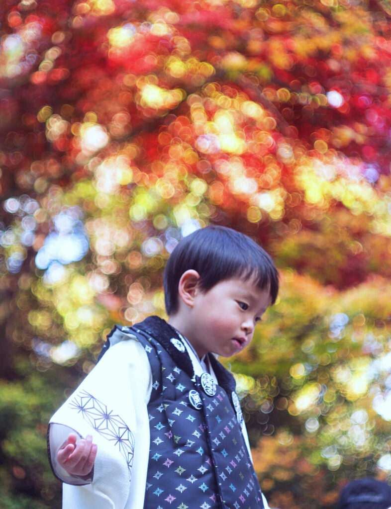 紅葉の宮島での七五三写真