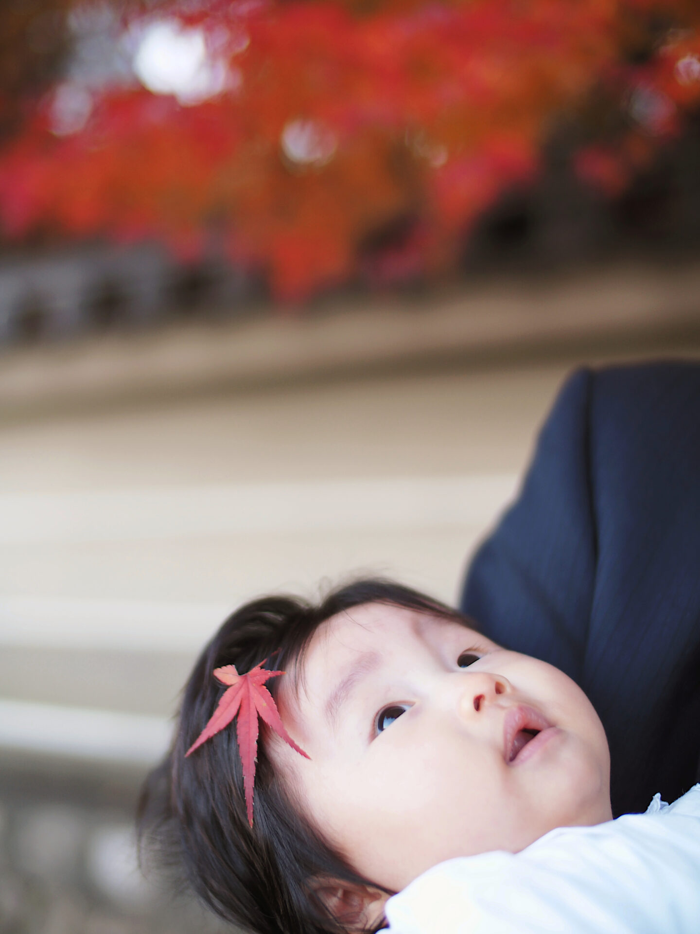 秋の紅葉で草戸稲荷神社のお宮参り撮影