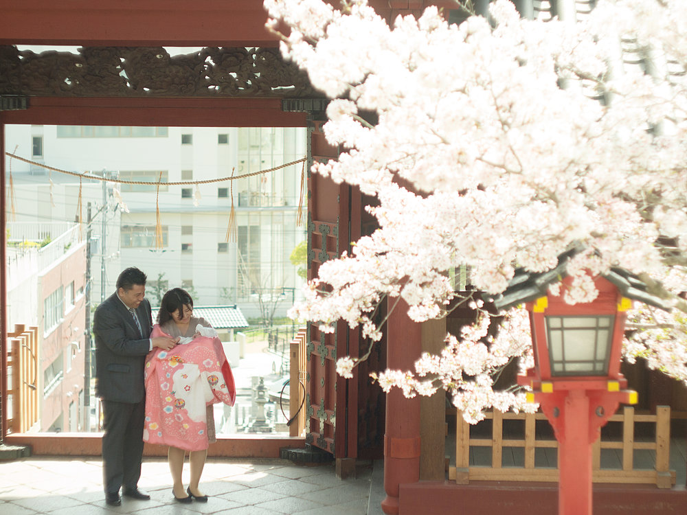 桜のお宮参り写真
