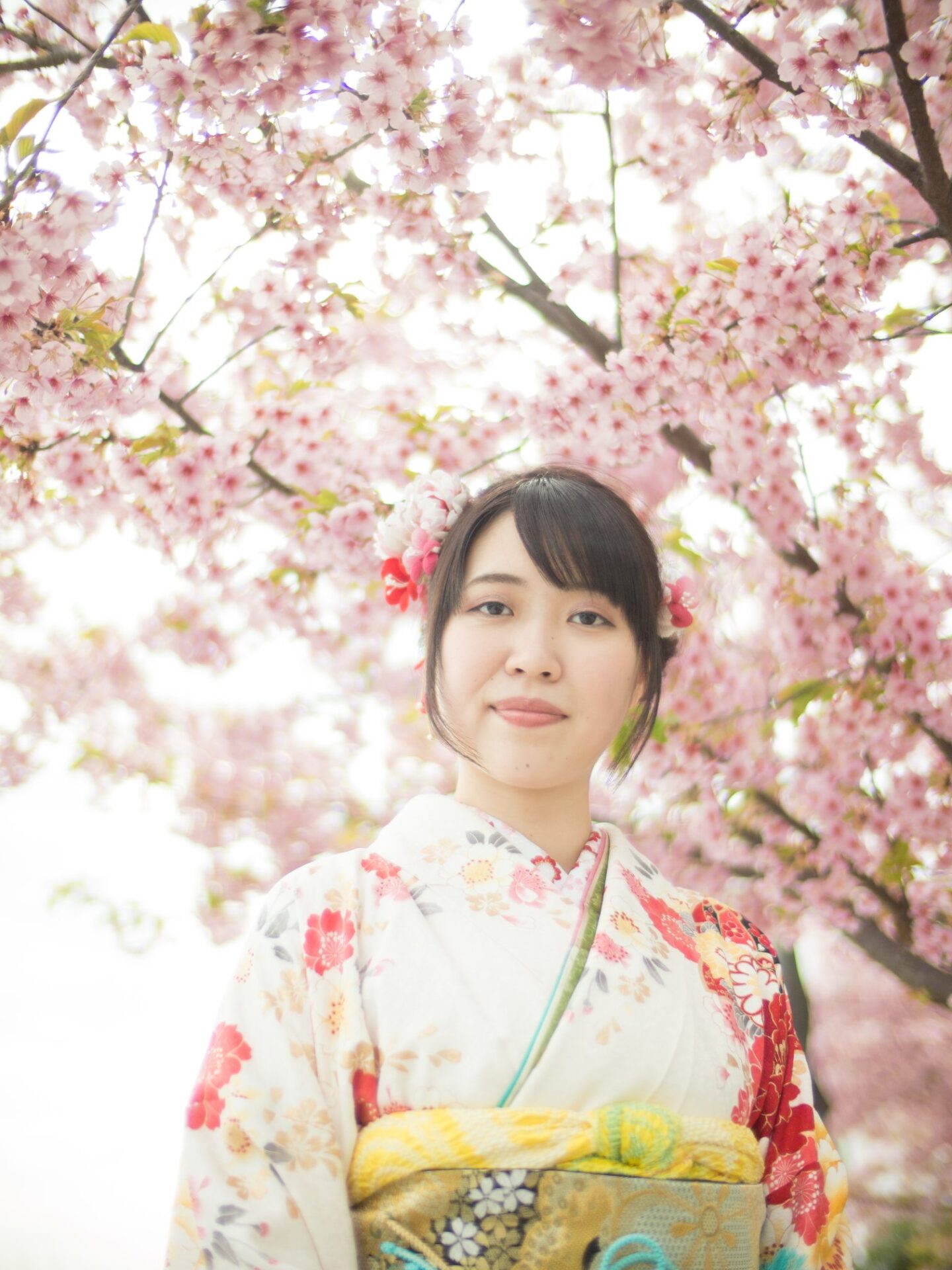 桜と成人式写真