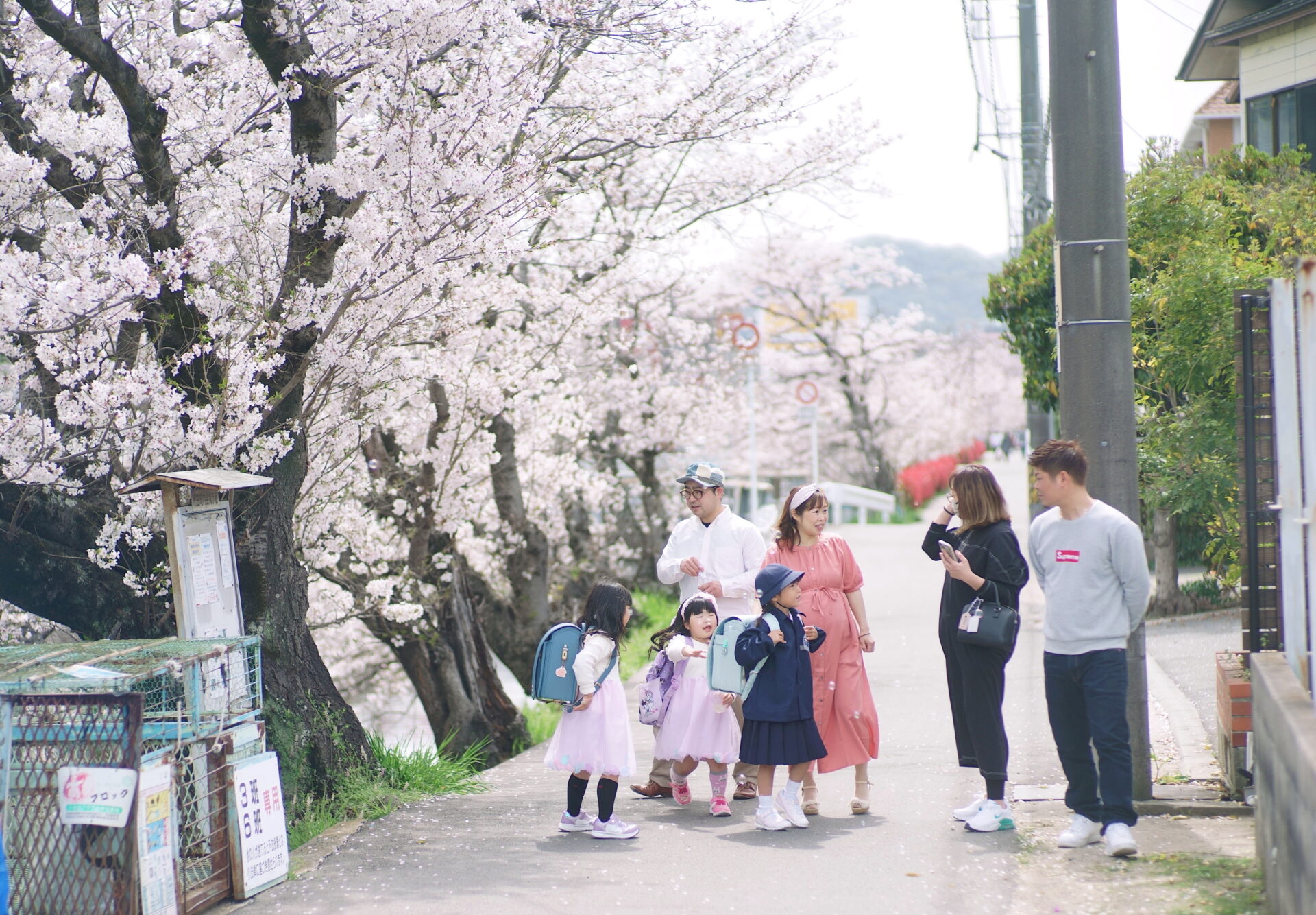 桜の尾道で入学記念写真