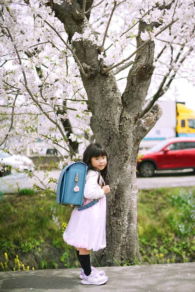 桜と入学記念写真を出張撮影で